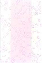 Pack 5 Pink Spirals Cards & White Envelopes