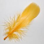 Deep Yellow Feathers -Bumper Pack