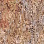 Tree Bark Paper