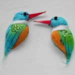 BIRD Kingfishers