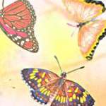 Butterflies - Vellum Paper